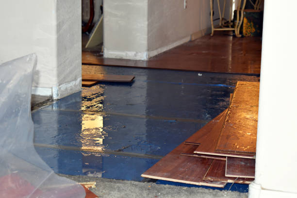 Professional Flood Cleanup technician working in Lincoln, CA